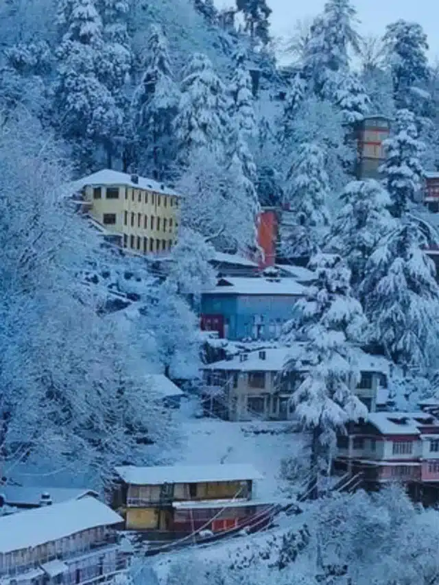 2024 में भारत की ये खूबसूरत स्थाने पर्यटक के बीच रही सबसे ज़्यादा चर्चा में :-