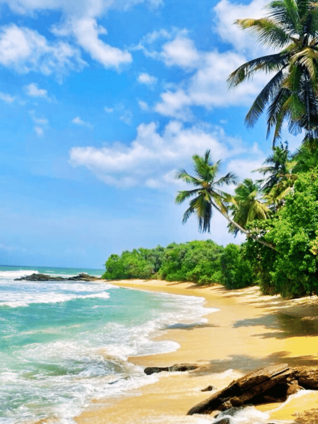 most beautiful beaches in sri lanka